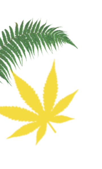 decorative cannabis leaf