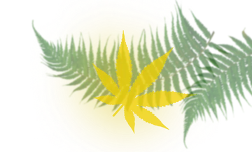decorative cannabis leaf