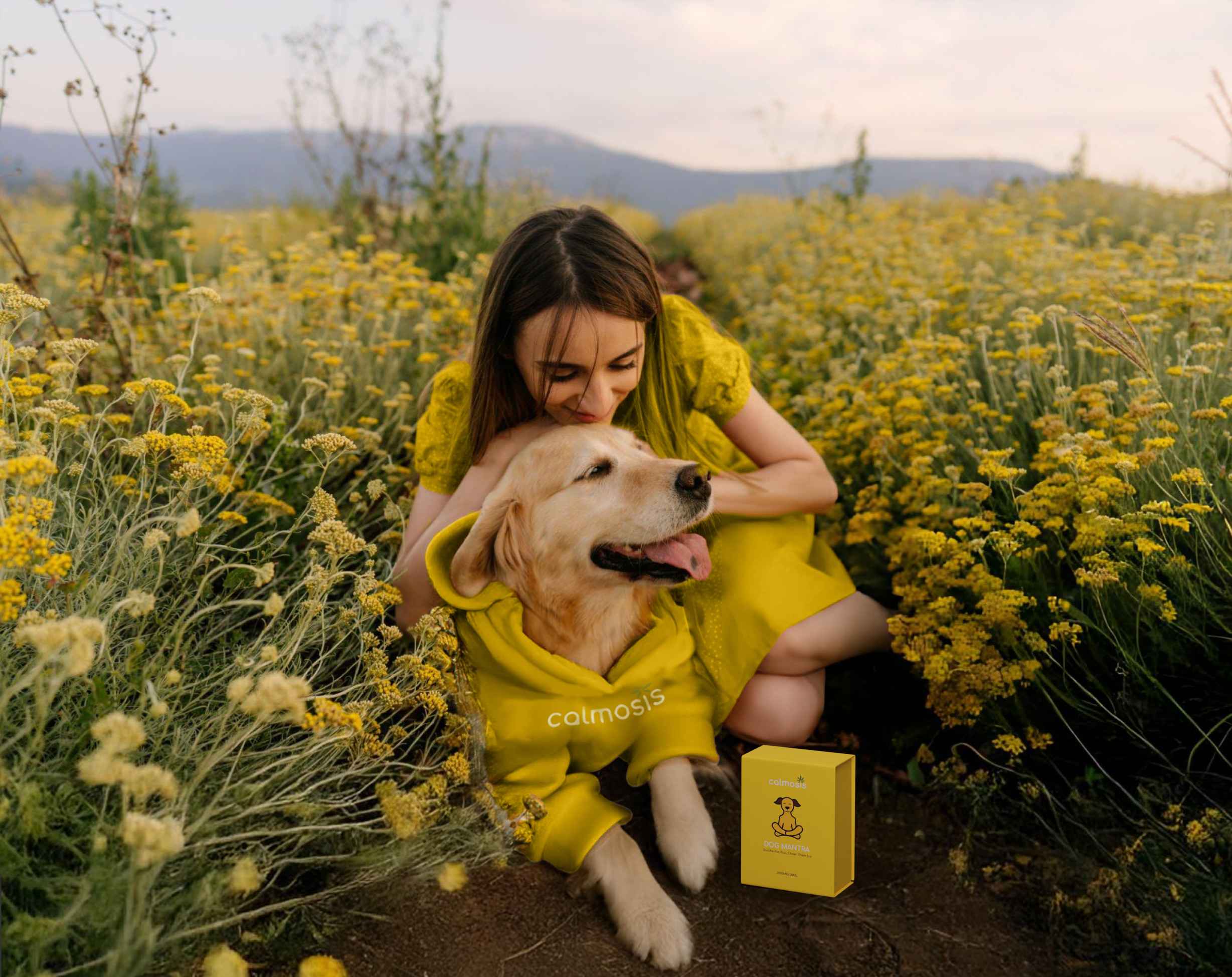 Calmosis Makes Cannabis Products For You & Your Pet Dog, Helps Ease Pain & Sleep Issues